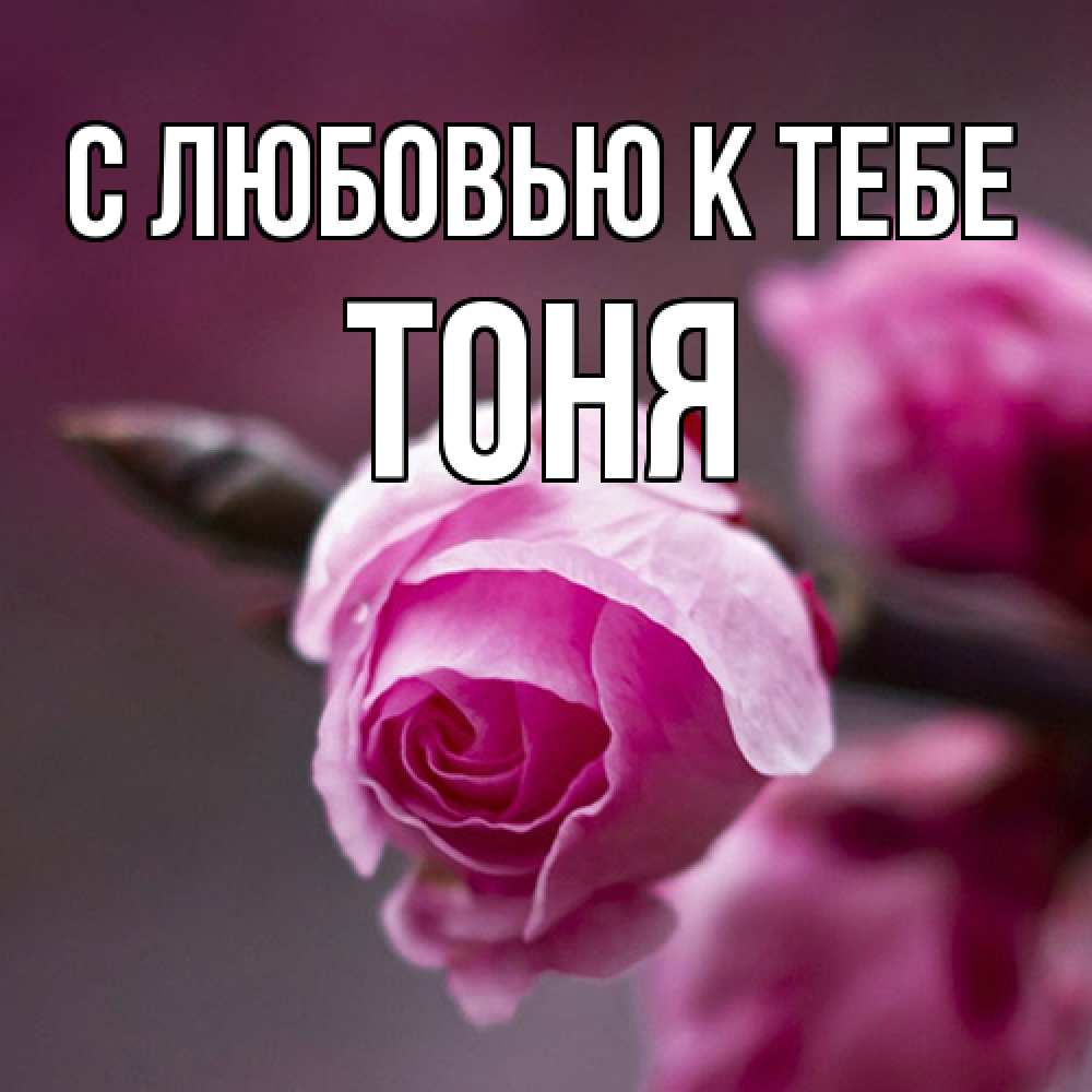 Открытка  с именем. Тоня, С любовью к тебе  