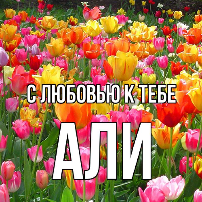Картинка С любовью к тебе, Али
