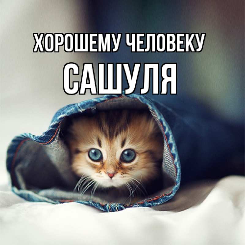Картинка Хорошему человеку, Сашуля