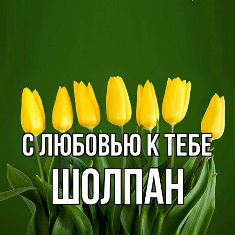 Картинка С любовью к тебе, Шолпан