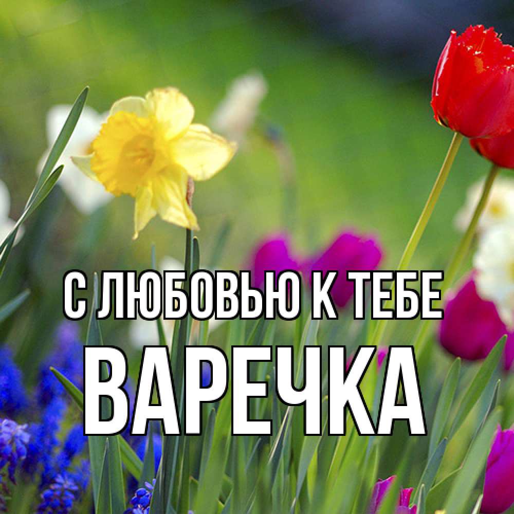 Открытка  с именем. Варечка, С любовью к тебе  