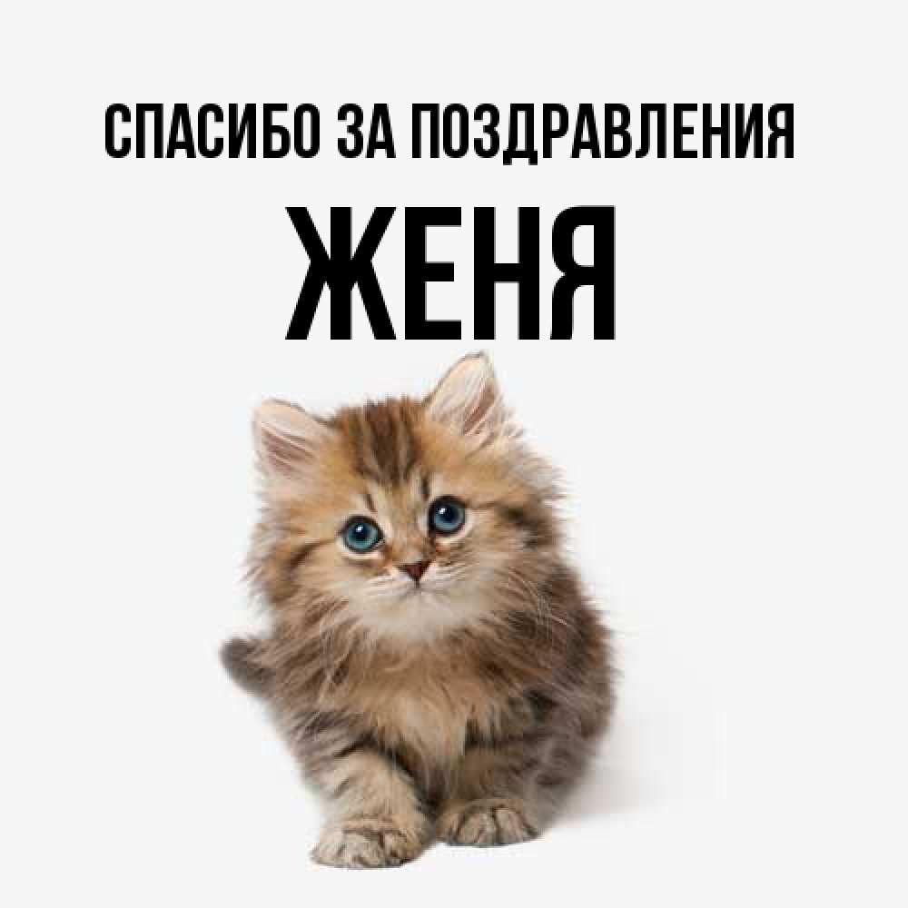 Открытка  с именем. Женя, Спасибо за поздравления  