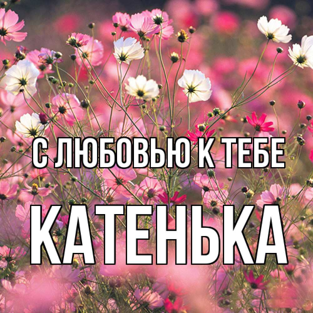 Открытка  с именем. Катенька, С любовью к тебе  