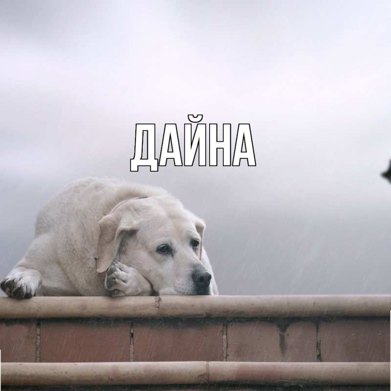 Картинка  с именем , Дайна