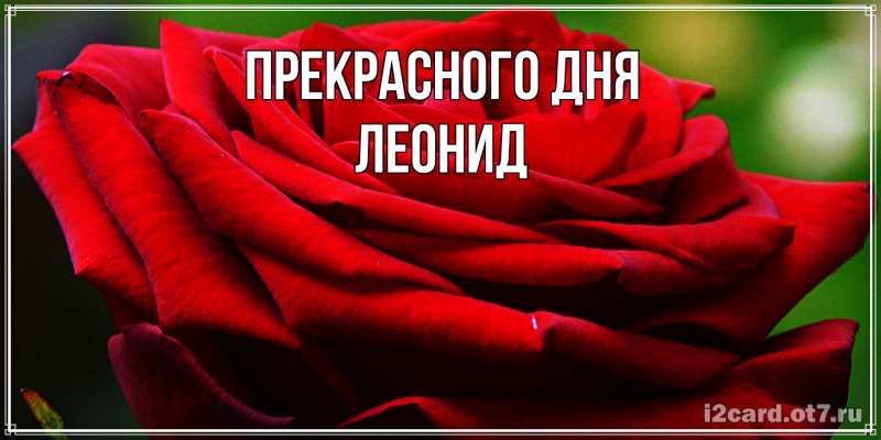 Картинка Прекрасного дня, Леонид