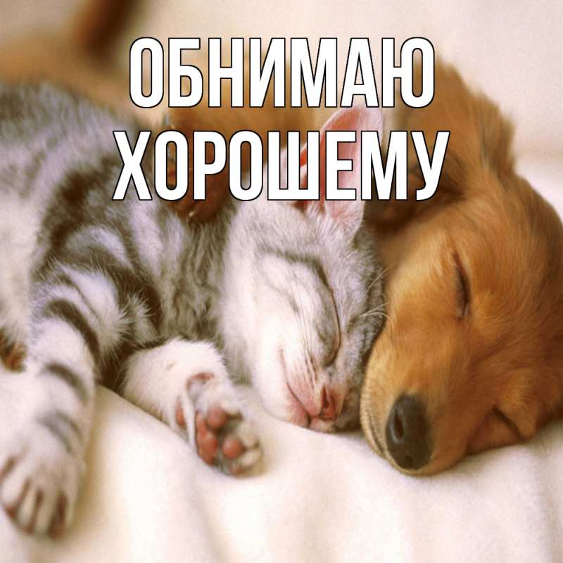 Картинка Обнимаю, Хорошему