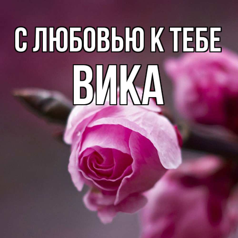 Открытка  с именем. Вика, С любовью к тебе  