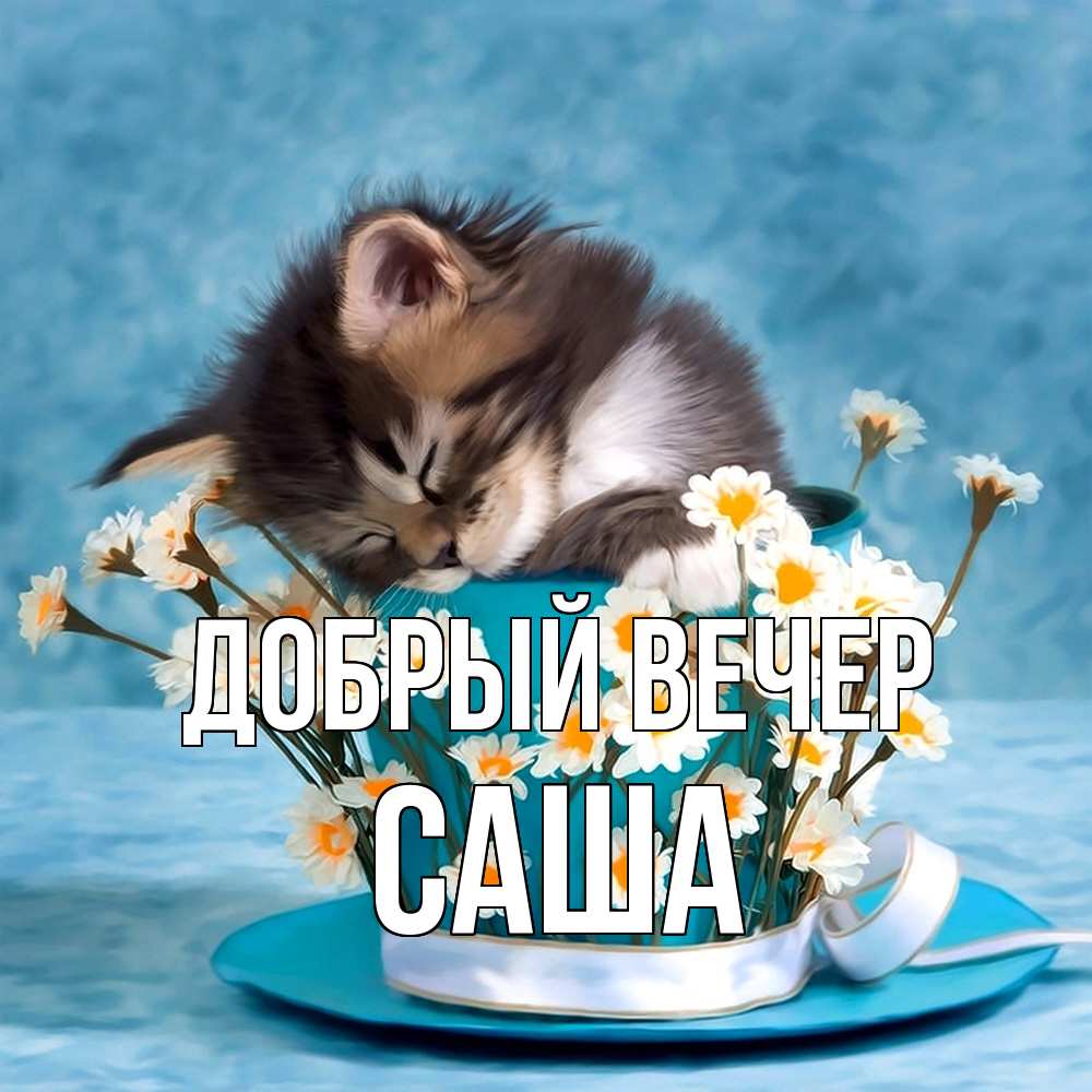 Открытка  с именем. Саша, Добрый вечер  