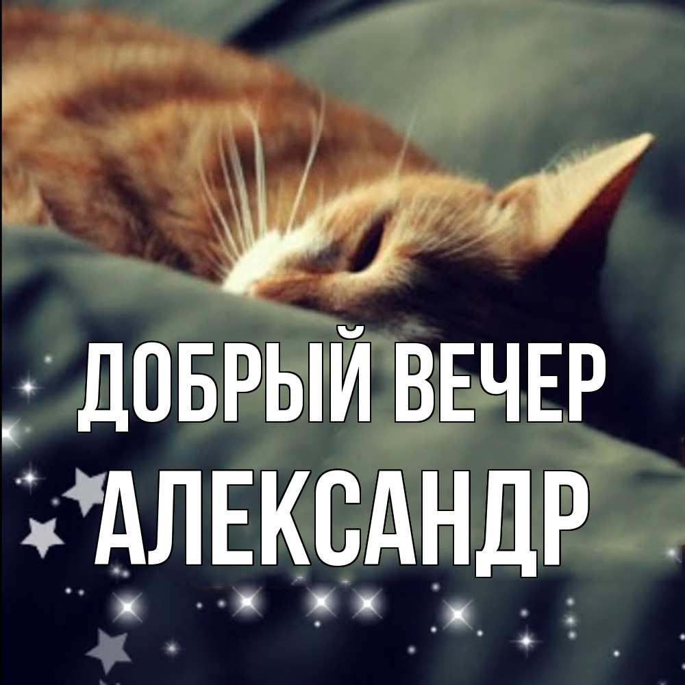 Открытка  с именем. александр, Добрый вечер  