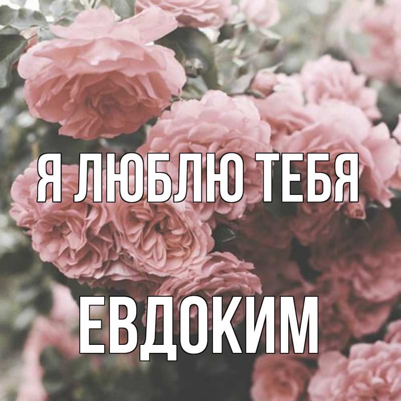 Картинка Я люблю тебя, Евдоким