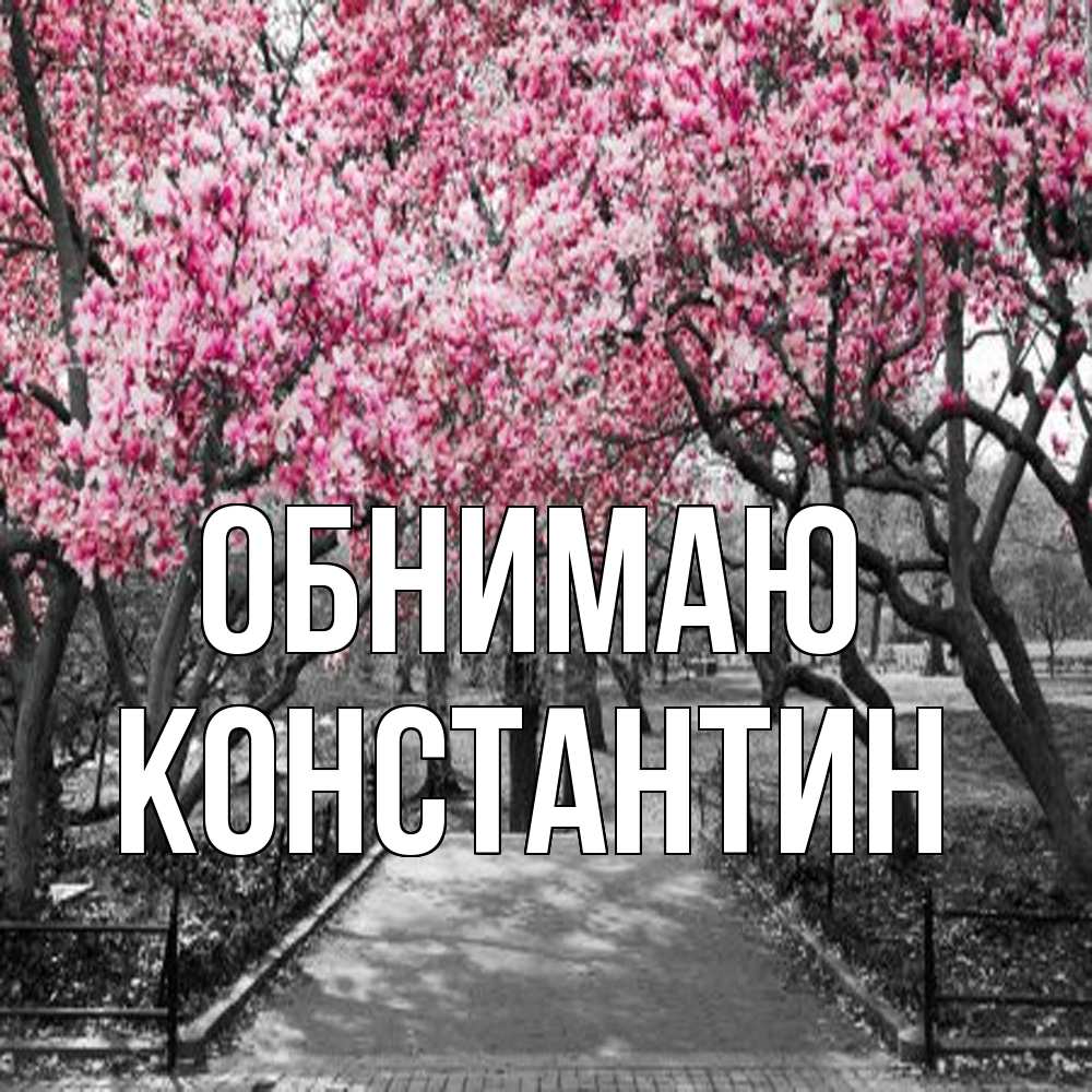 Открытка  с именем. Константин, Обнимаю  