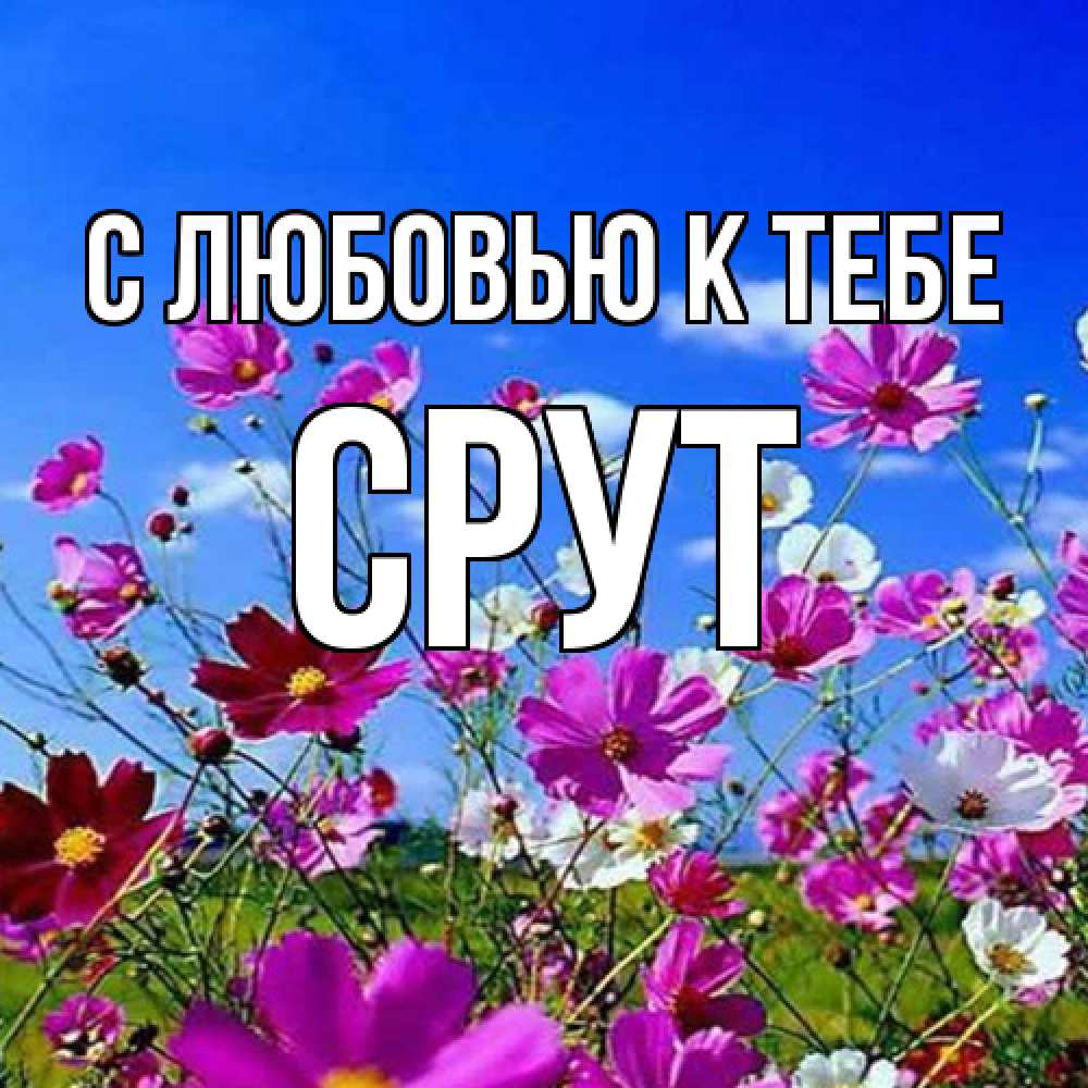 Открытка  с именем. срут, С любовью к тебе  