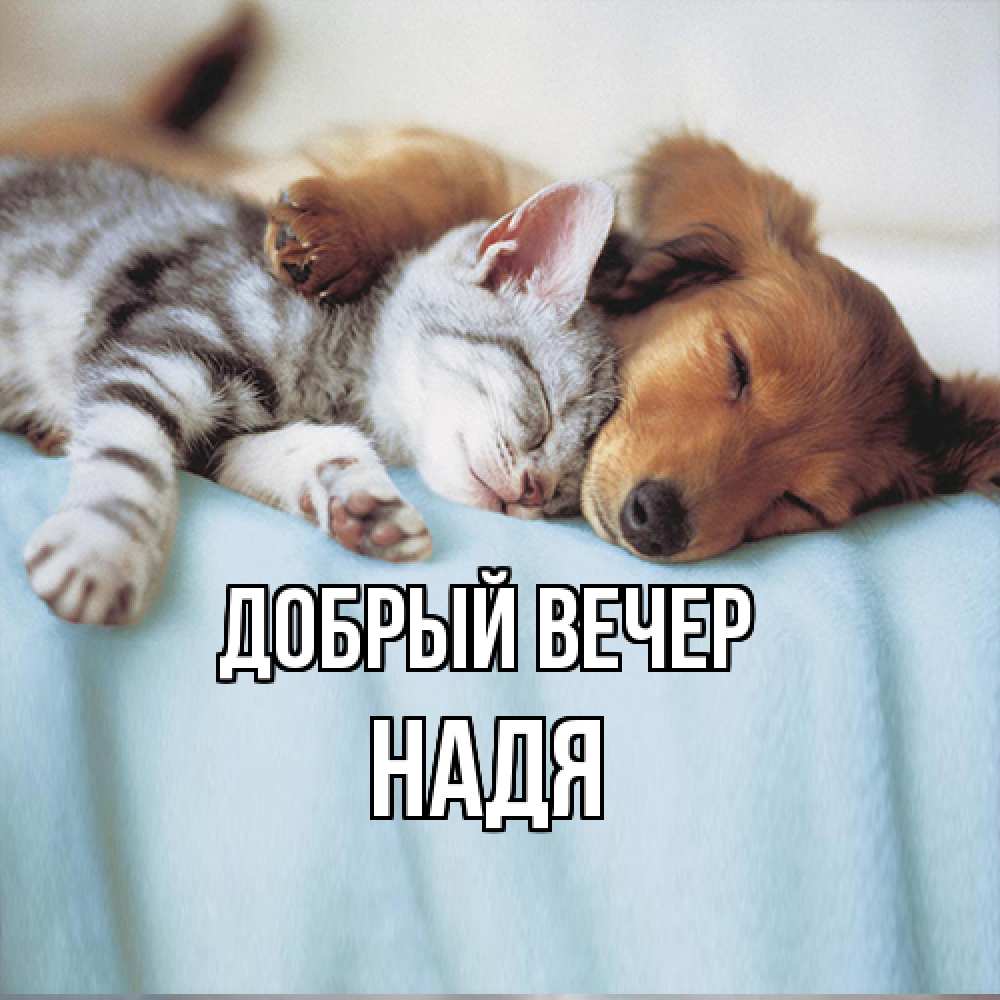 Открытка  с именем. Надя, Добрый вечер  