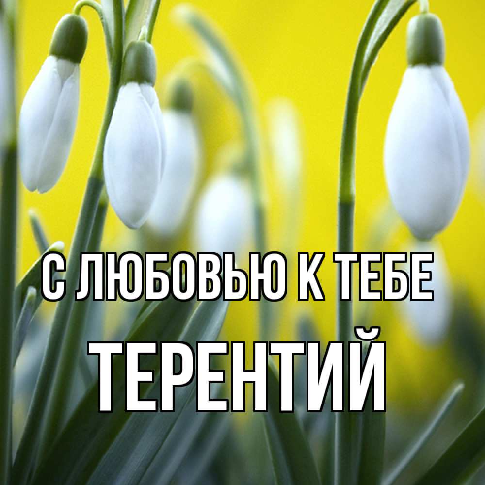 Открытка  с именем. Терентий, С любовью к тебе  