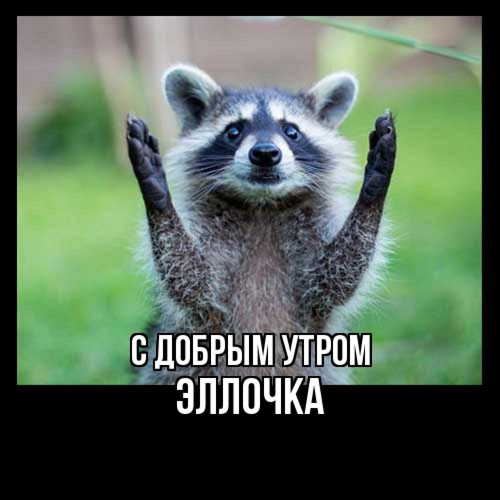 Открытка  с именем. Эллочка, С добрым утром  