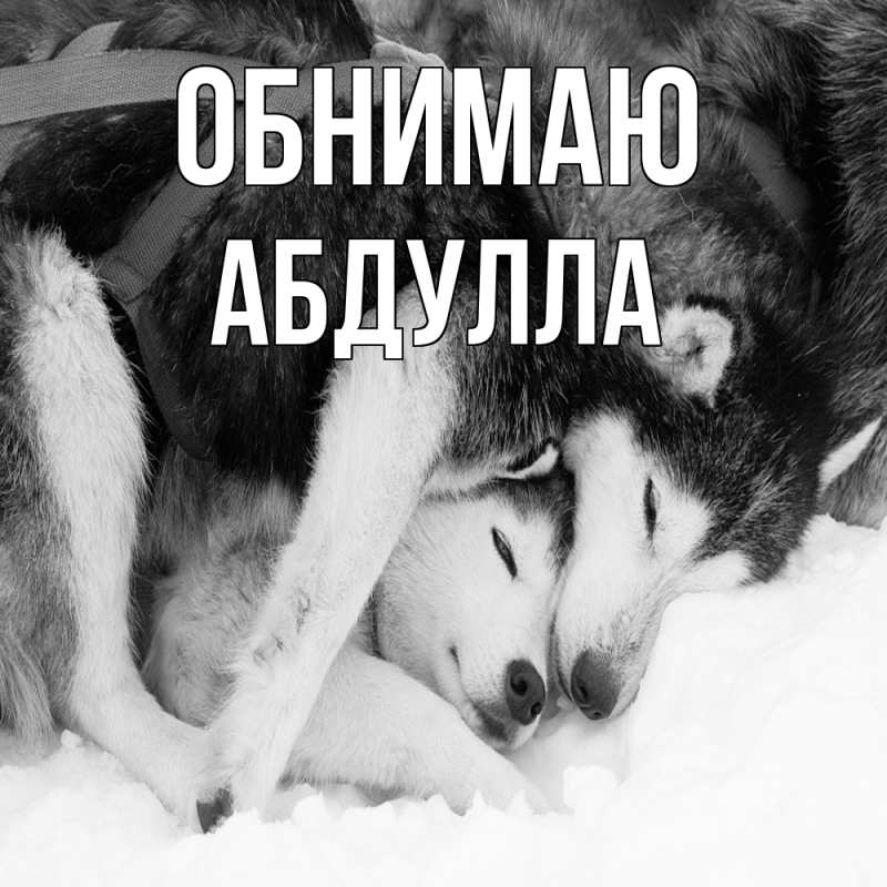Картинка Обнимаю, Абдулла
