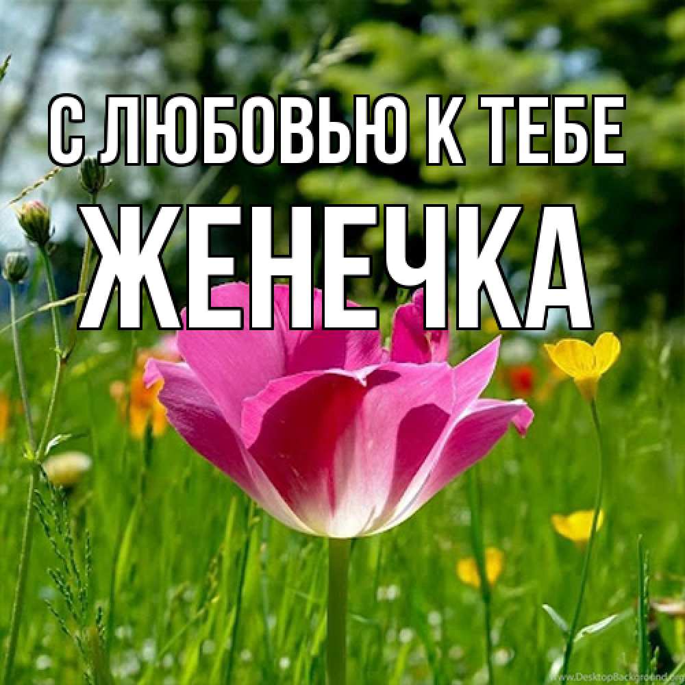 Открытка  с именем. Женечка, С любовью к тебе  