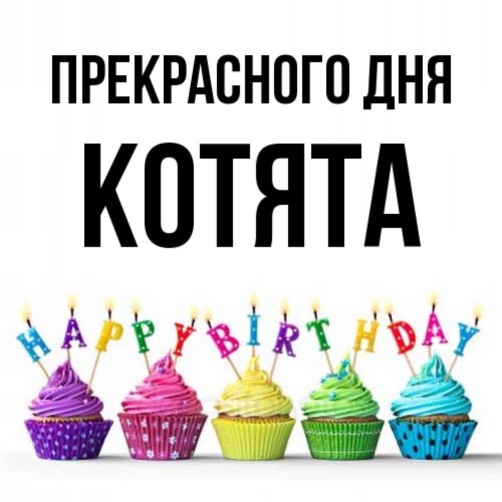 Открытка  с именем. Котята, Прекрасного дня  