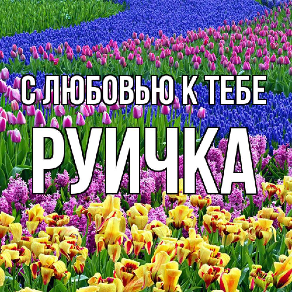 Открытка  с именем. Руичка, С любовью к тебе  