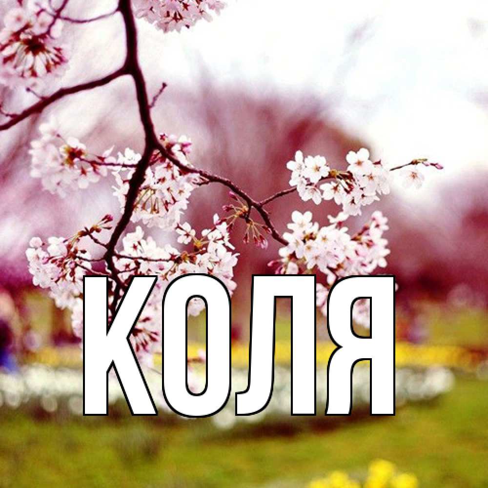 Открытка  с именем. коля, Главная  