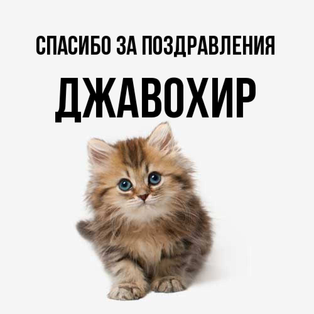 Открытка  с именем. Джавохир, Спасибо за поздравления  