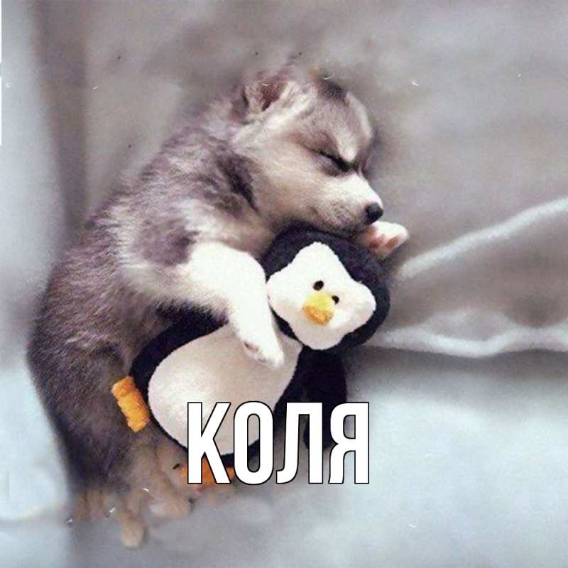 Картинка  с именем , коля