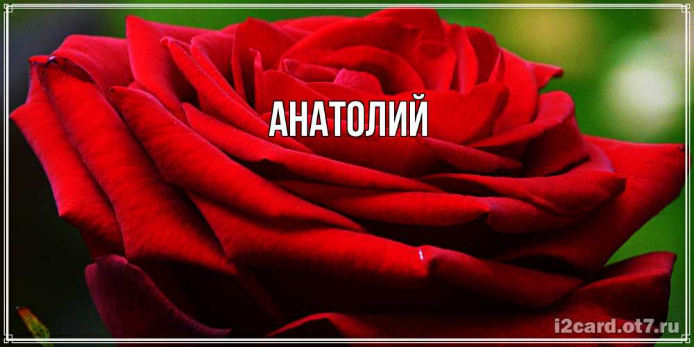 Открытка  с именем. Анатолий, Главная  