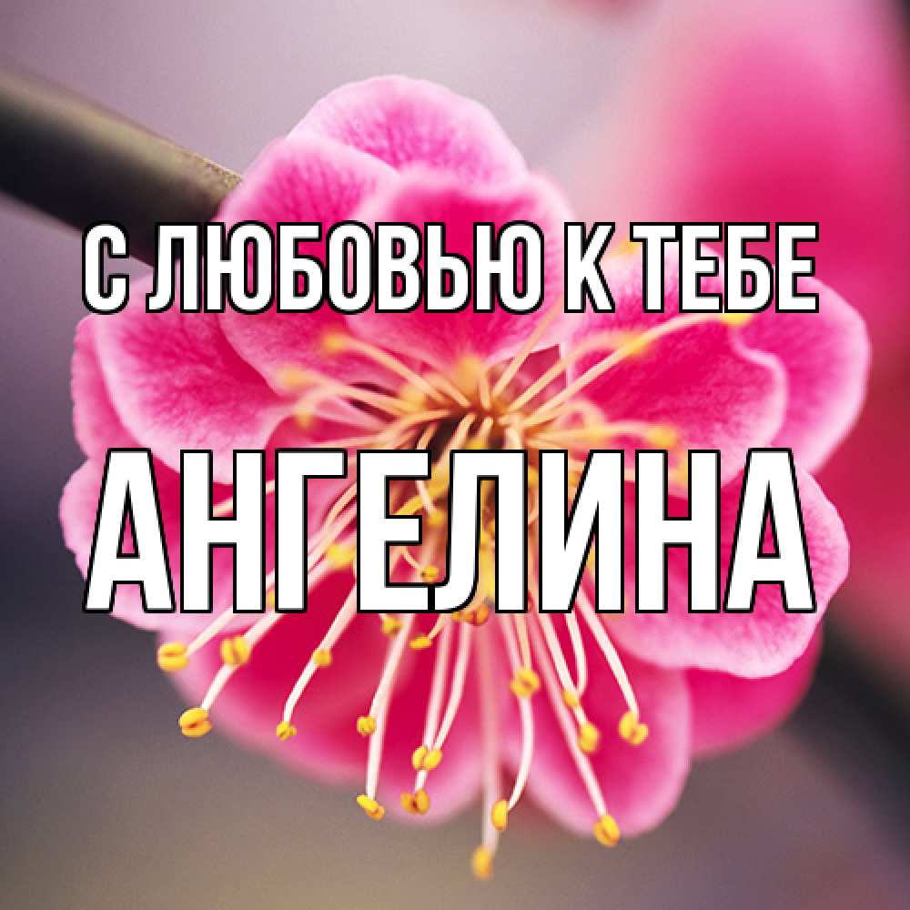 Открытка  с именем. Ангелина, С любовью к тебе  