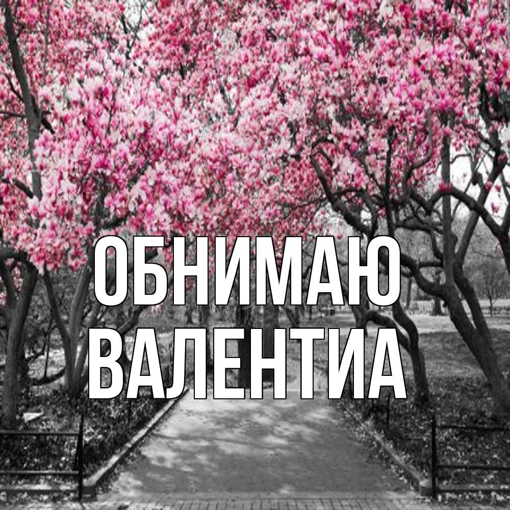 Открытка  с именем. Валентиа, Обнимаю  