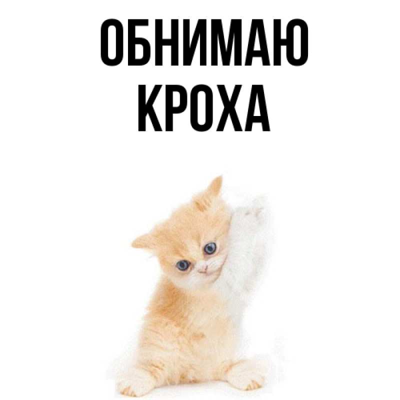 Картинка Обнимаю, КрохА