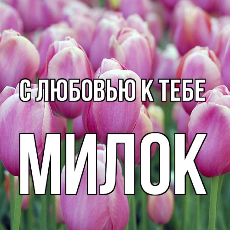Картинка С любовью к тебе, Милок