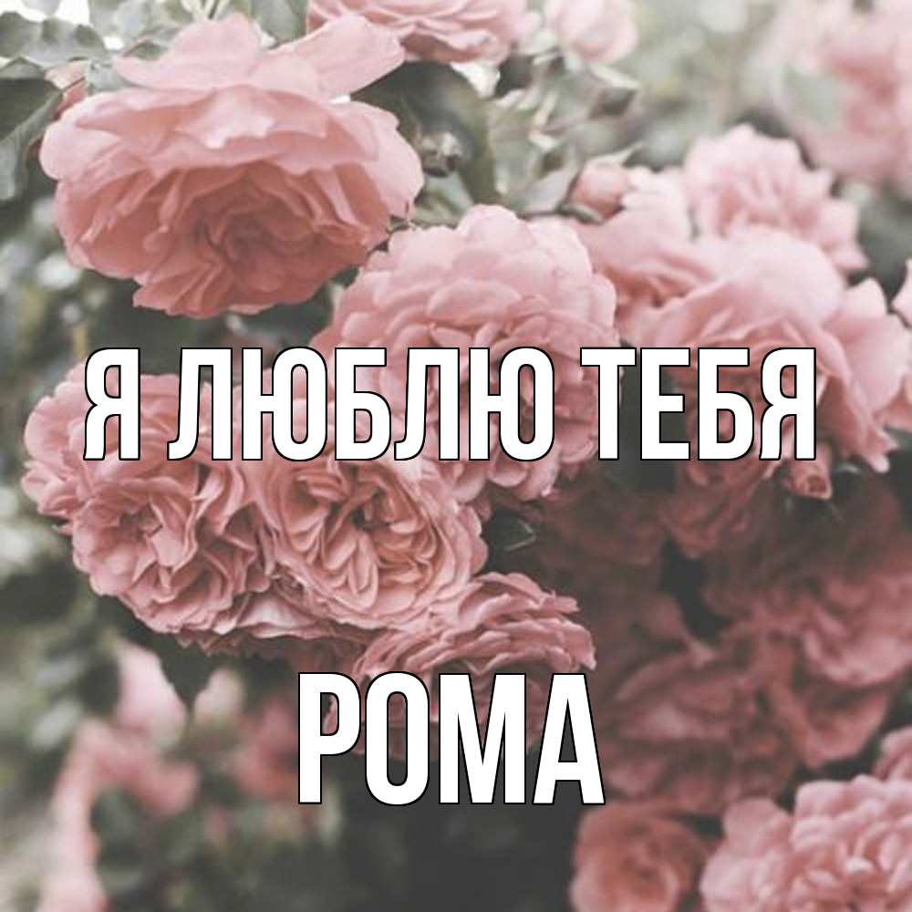 Открытка  с именем. Рома, Я люблю тебя  