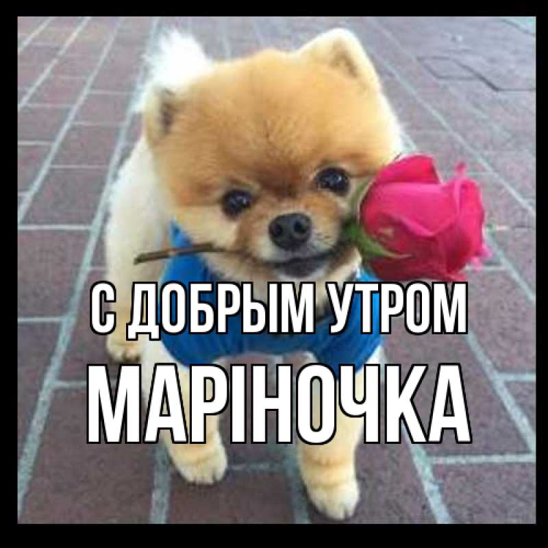 Картинка С добрым утром, Маріночка