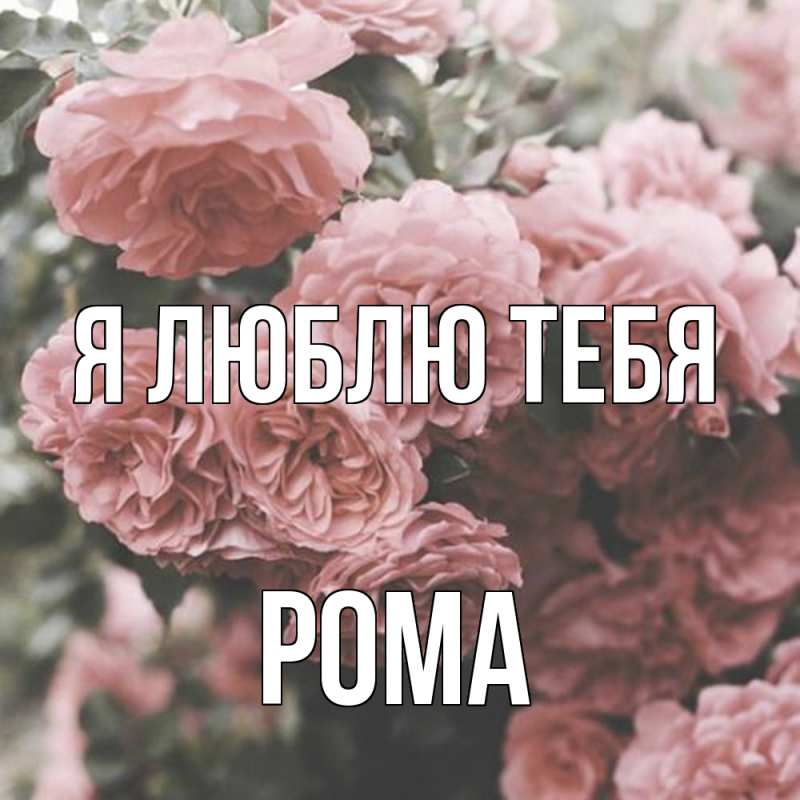 Картинка Я люблю тебя, Рома
