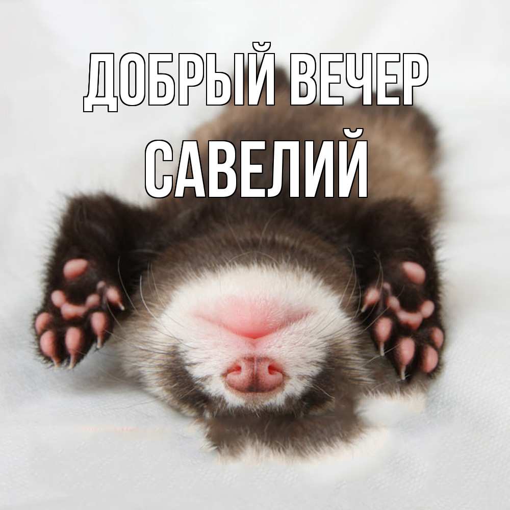 Открытка  с именем. Савелий, Добрый вечер  