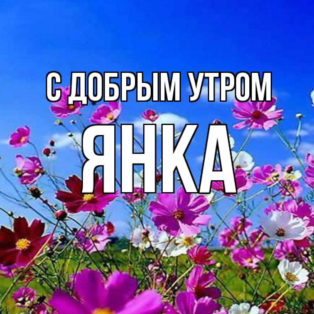 Открытка  с именем. Янка, С добрым утром  