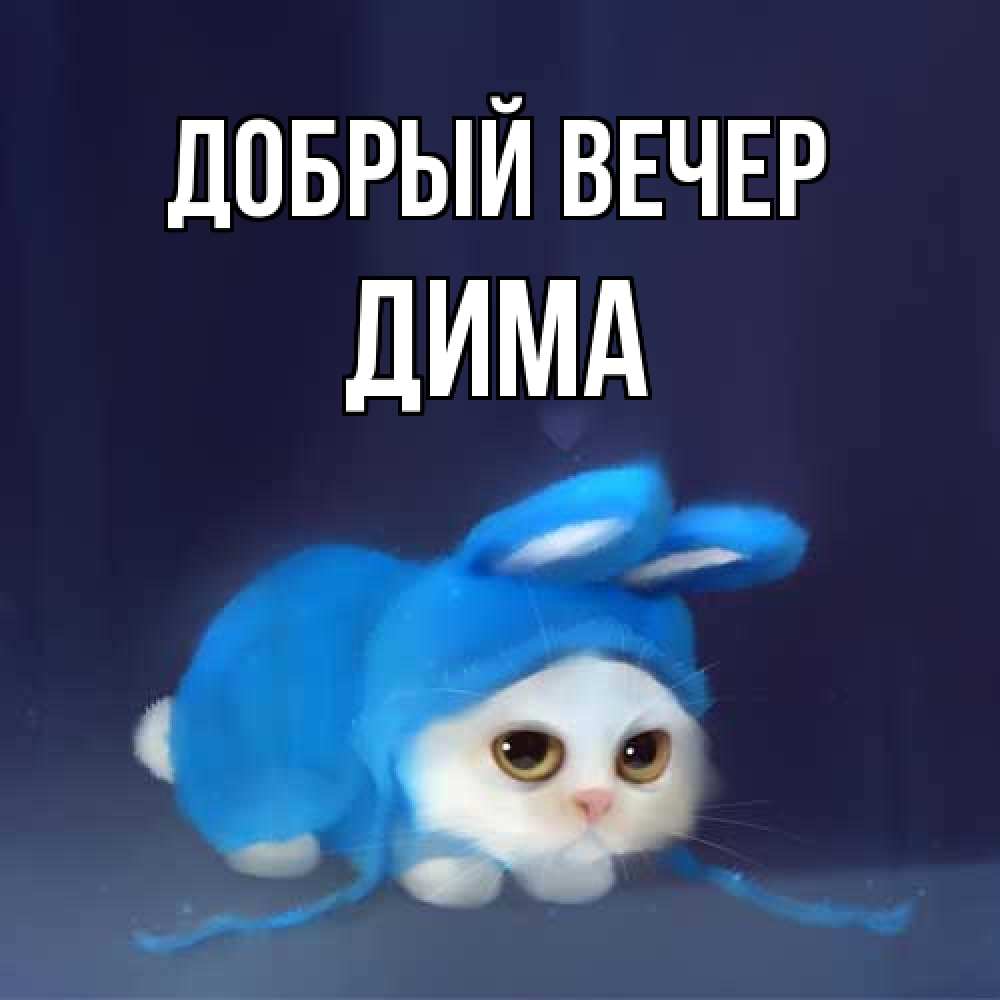 Открытка  с именем. Дима, Добрый вечер  