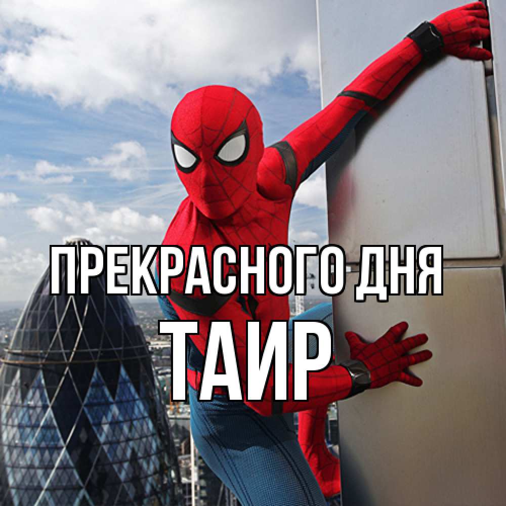 Открытка  с именем. Таир, Прекрасного дня  