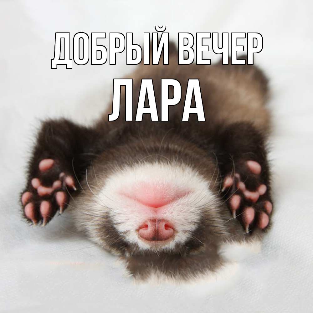 Открытка  с именем. Лара, Добрый вечер  