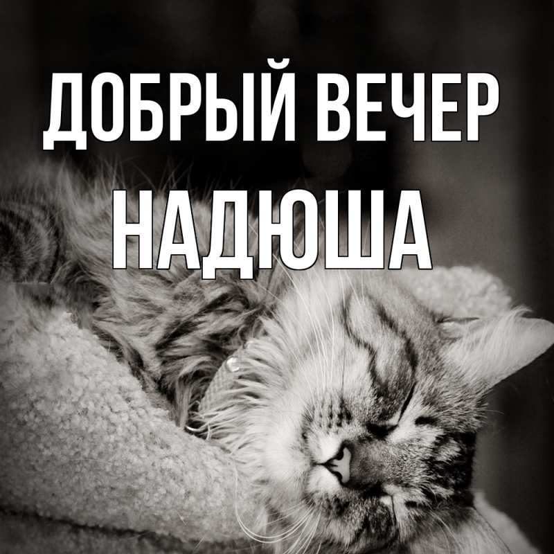 Картинка Добрый вечер, Надюша