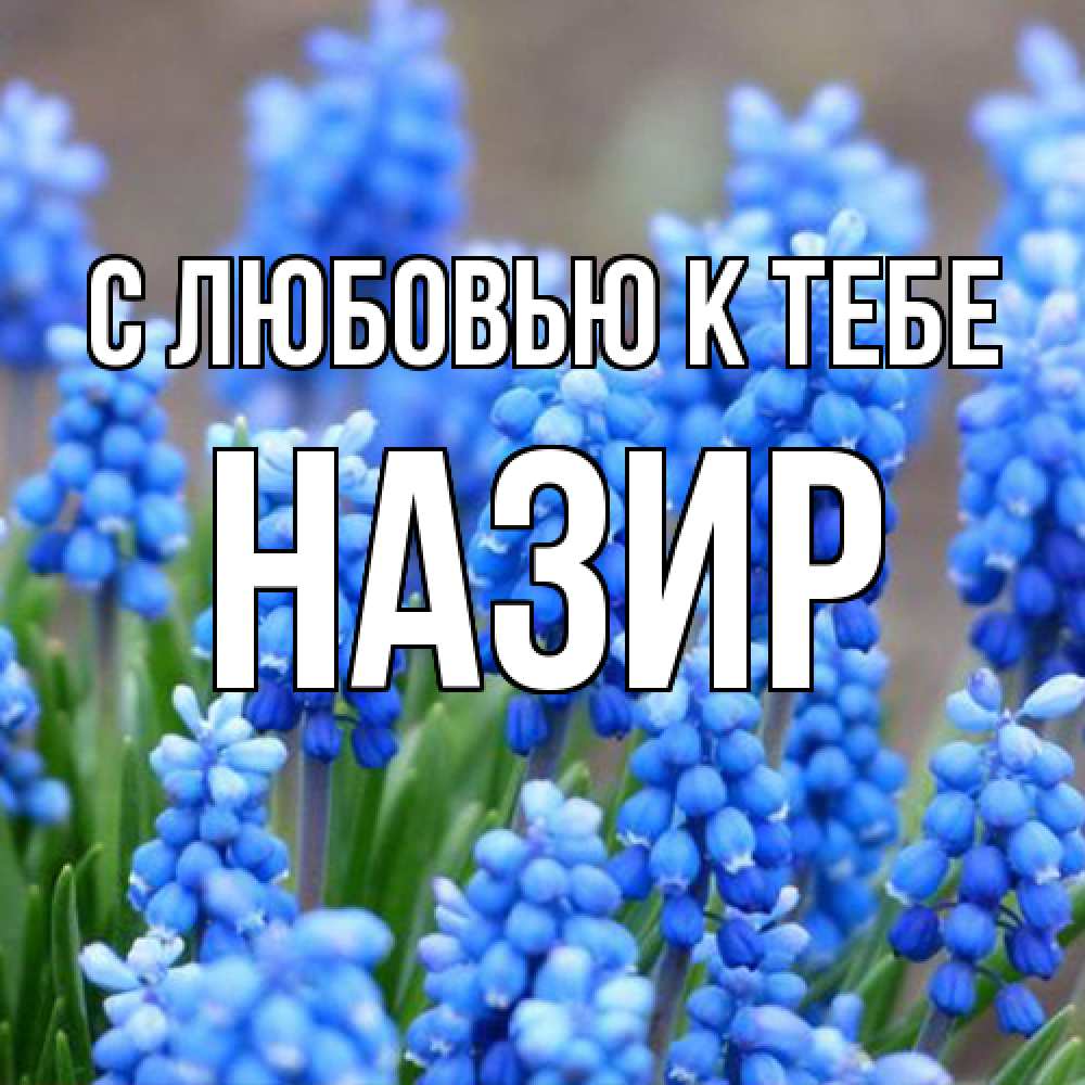 Открытка  с именем. Назир, С любовью к тебе  