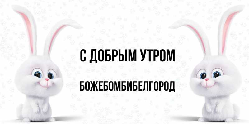 Картинка С добрым утром, боже.бомби.белгород