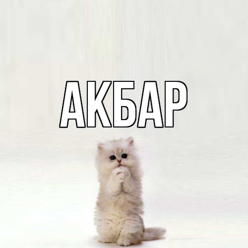 Открытка  с именем. Акбар, Главная  