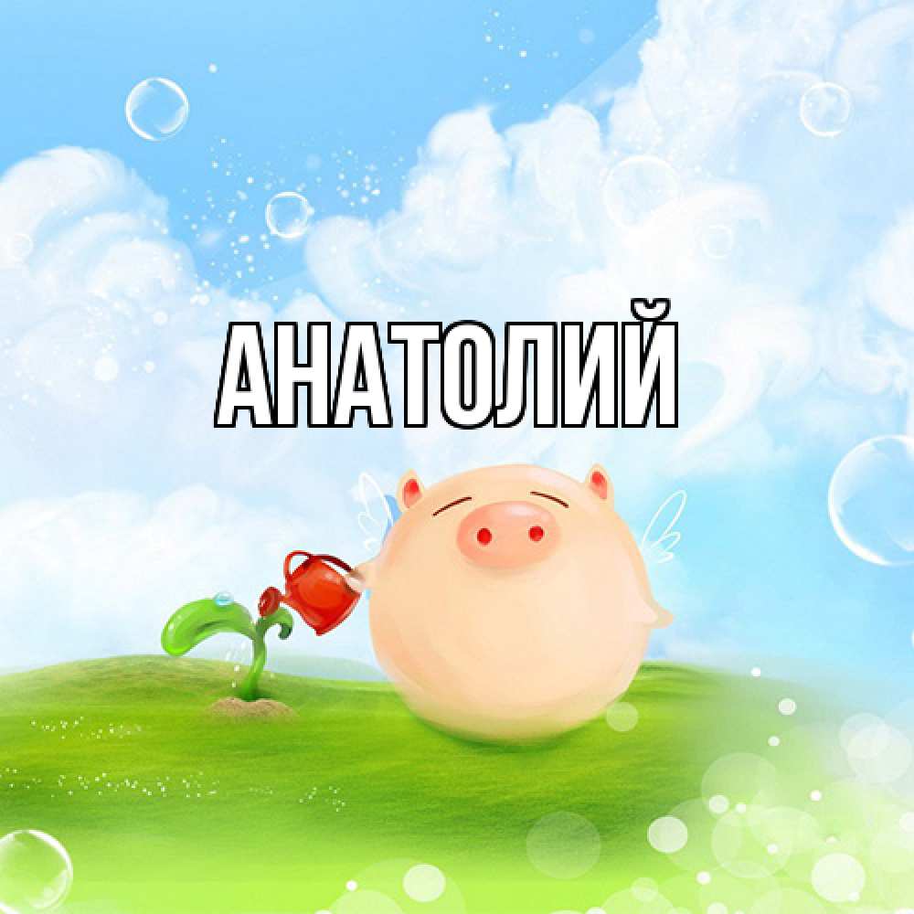 Открытка  с именем. Анатолий, Главная  