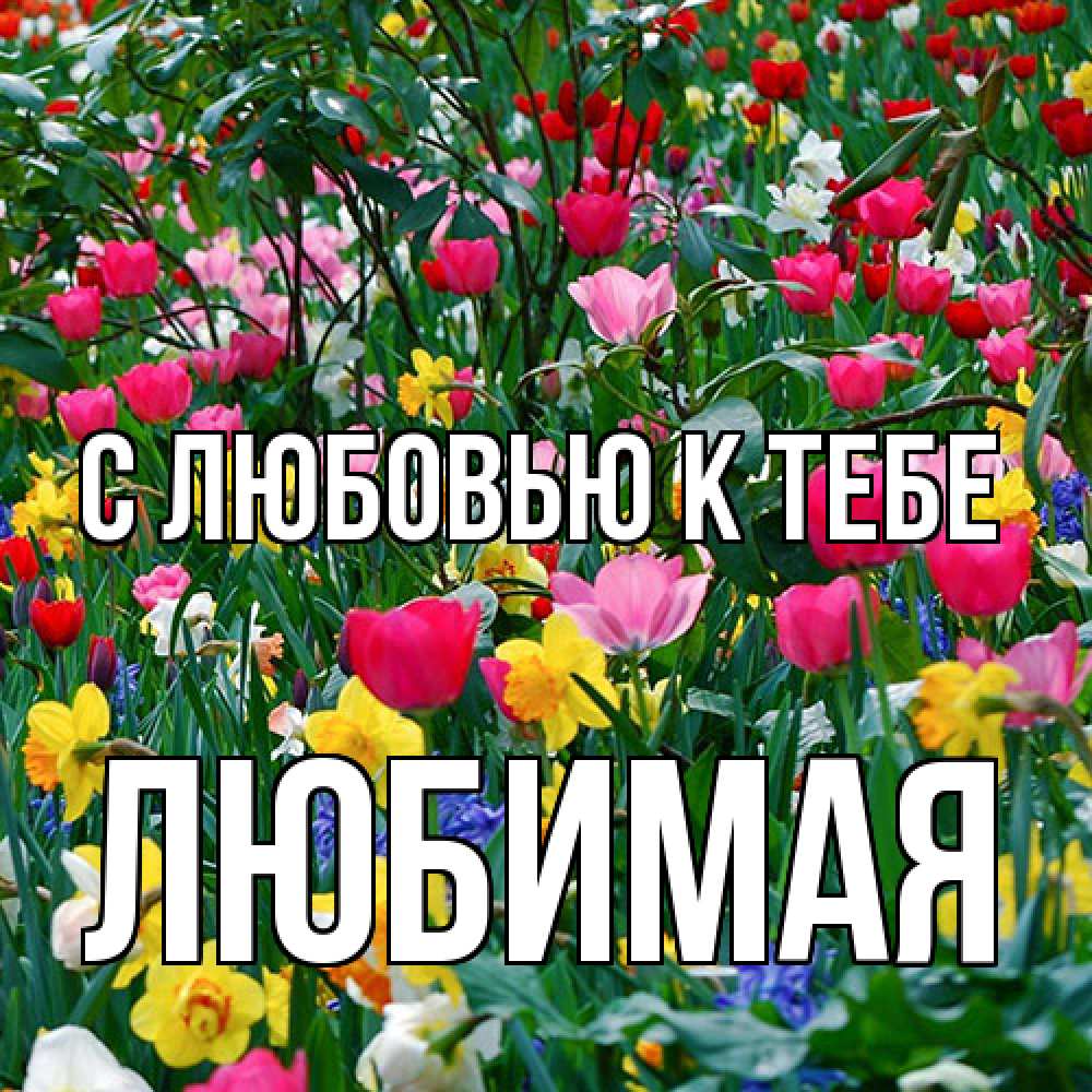 Открытка  с именем. Любимая, С любовью к тебе  