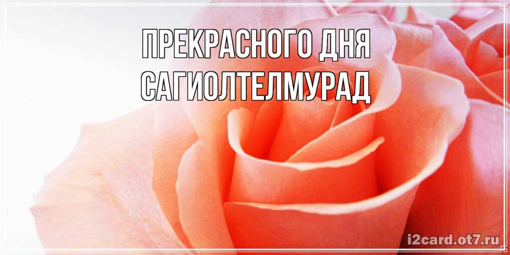 Открытка  с именем. САГИОЛТЕЛМУРАД, Прекрасного дня  