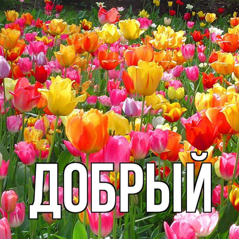 Картинка  с именем , Добрый