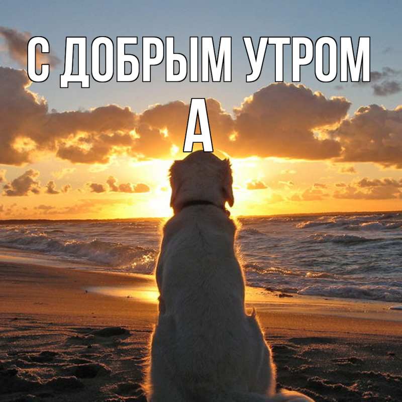 Картинка С добрым утром, а