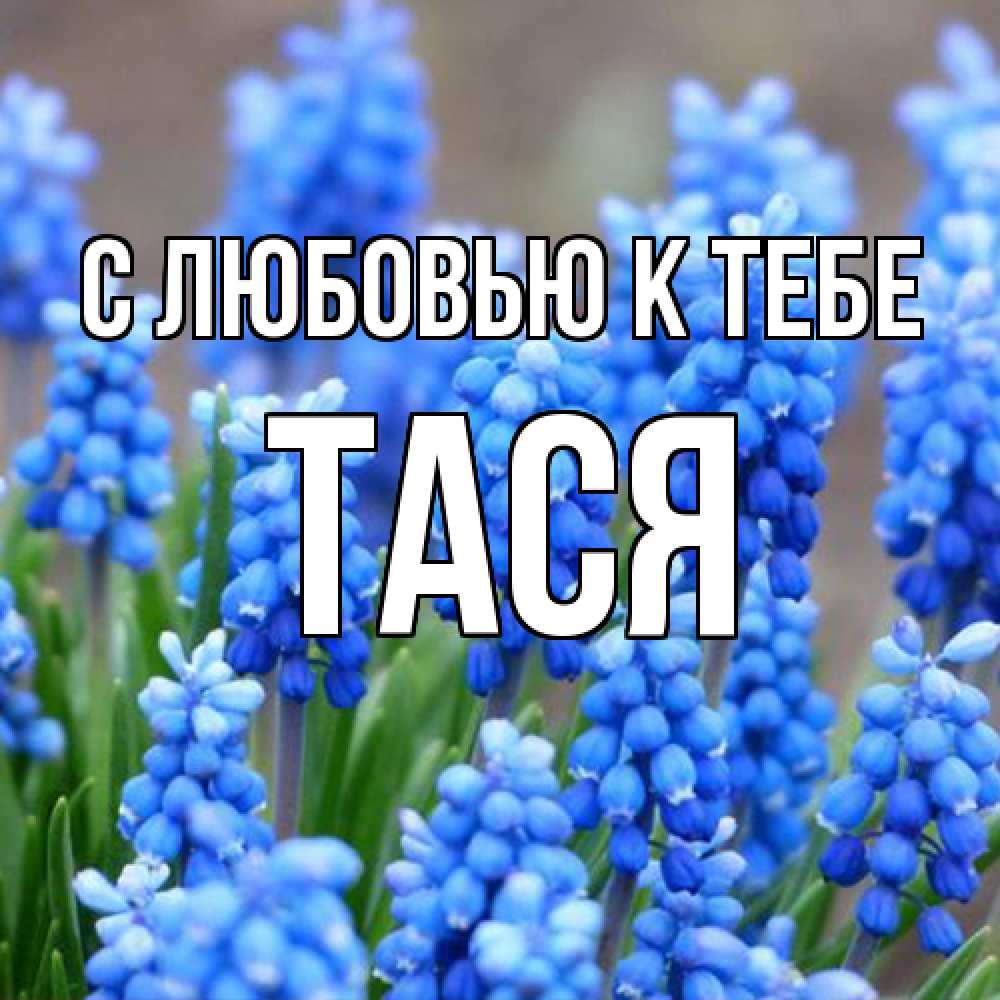 Открытка  с именем. Тася, С любовью к тебе  