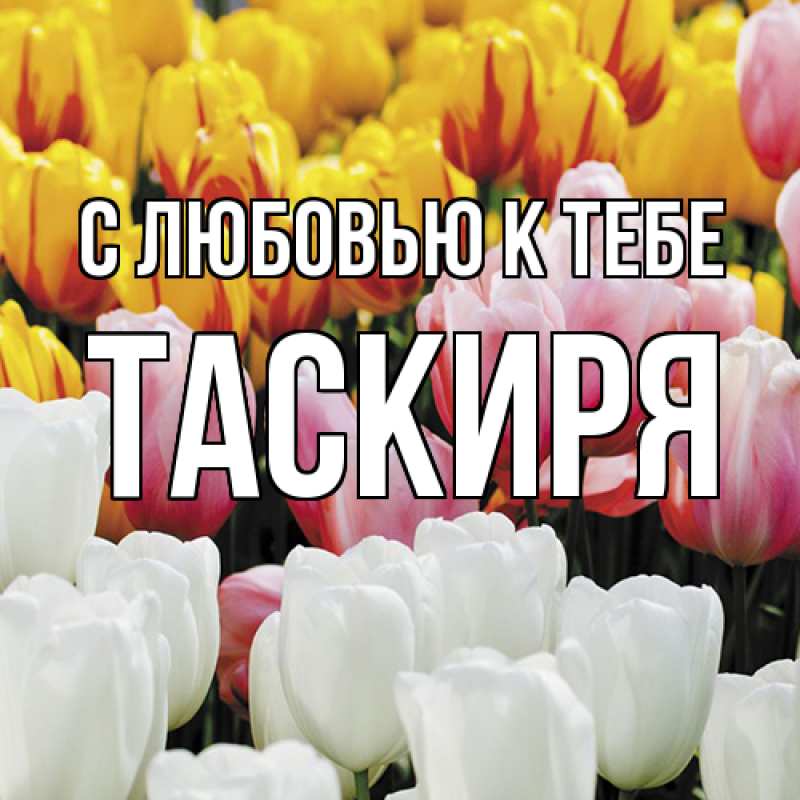 Картинка С любовью к тебе, Таскиря